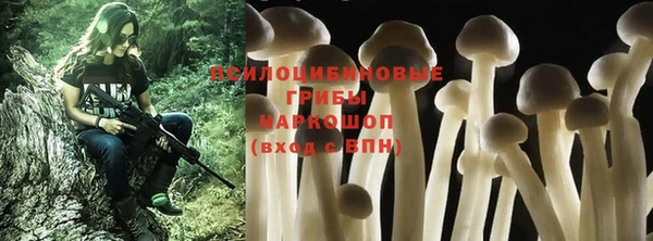 MDMA Тайга